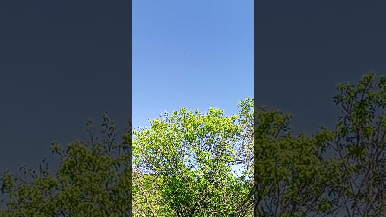 Как распознать людей силы.