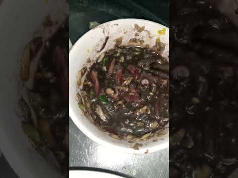 Video Mắm Mực, Với rau Kèo Nèo.ăn để cân bằng huyết áp. - youtube