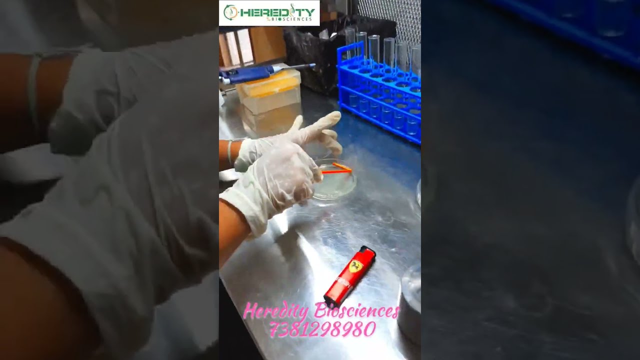 Perfecting Your Spread Plate Technique 