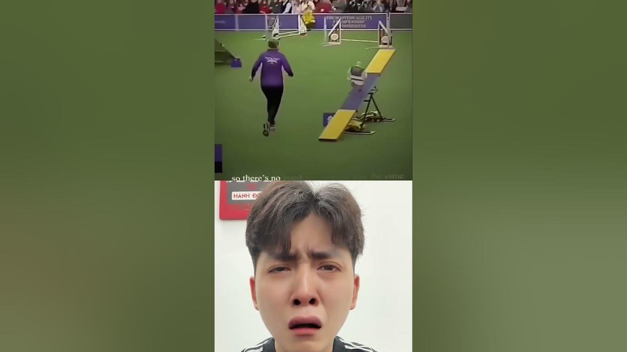 Shrek Olympics Memories 🤯 YouTube