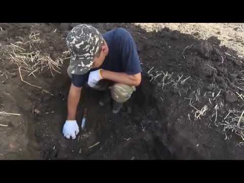Film 70 Excavation in fields of World War II