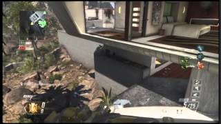 How to get on the Palm tree on Raid