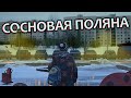 СОСНОВАЯ ПОЛЯНА Петербурга (Электрофорез, Дом-змея, Ленфильм)