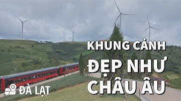 Cà phê Phindeli Cafe Cầu Đất - Đà Lạt - View cực đẹp với đoàn toàn mới toanh #MiloVo