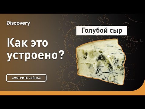 Голубой сыр Стилтон | Как это устроено | Discovery