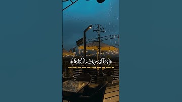 #القران_الكريم #تلاوة_خاشعة #لايك #القران_الكريم_راحه_نفسية #حالات_واتس #quran_alkarim #المصحف