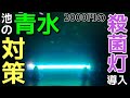 青水の池にAmazonで2000円の殺菌灯を導入してみた！