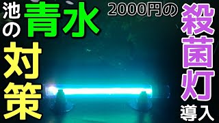 青水の池にAmazonで2000円の殺菌灯を導入してみた！