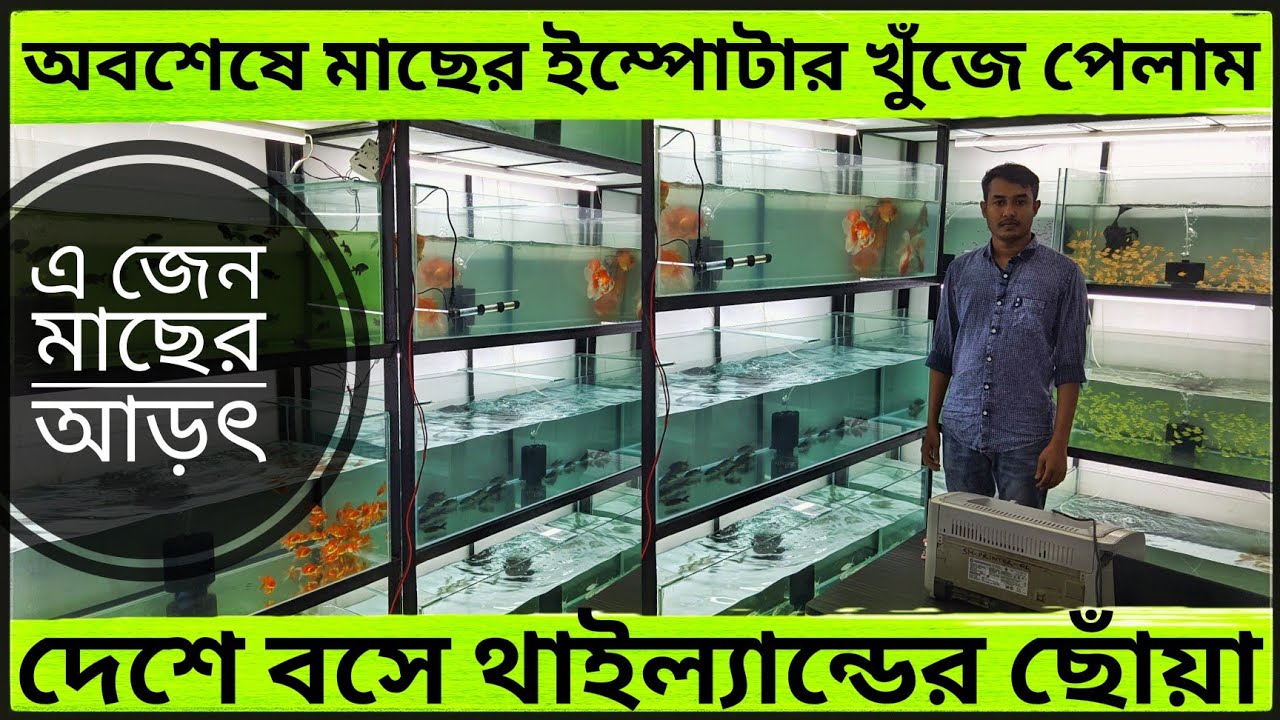 aquarium and fish price in Bangladesh।। aquarium fish wholesale price