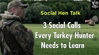 3 Hen Social Sounds Every Turkey Hunter Needs To Learn