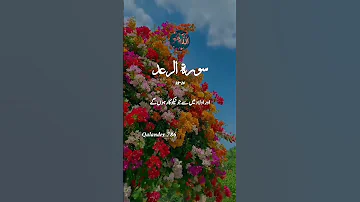 Surah Raad Ayat 23 24 ﺁﻗﺎﷺ Quran Allah Quranvideo Quranurdutranslation Surahraad 