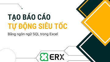 Tổng hợp, phân tích dữ liệu và tạo Dashboard tự động siêu tốc bằng SQL trong Excel - ERX VietNam