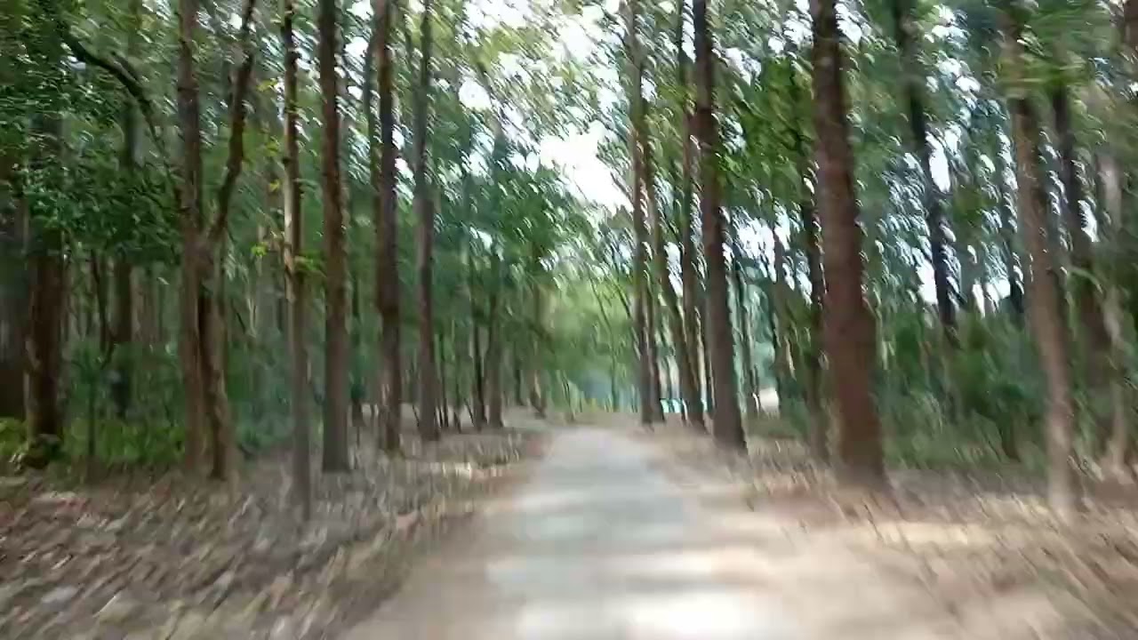 On the way to Sultan FRH Dhikala Tourism Zone, Corbett Tiger Reserve.