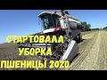 УБОРКА ОЗИМОЙ ПШЕНИЦЫ 2020!!!АКРОС580 ВЕКТОР410