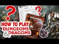 HOW TO PLAY DUNGEONS & DRAGONS - A beginners guide to D&D