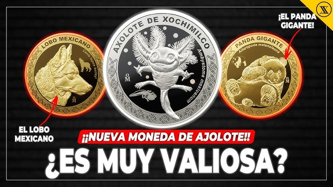 Nuevas monedas conmemorativas mexicanas: 100 años del Zoológico de  Chapultepec