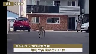 住宅街で