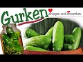 Gurken einlegen | Gewürzgurken | Spreewald Gurken | Senfgurken | Gurken einwecken und haltbarmachen