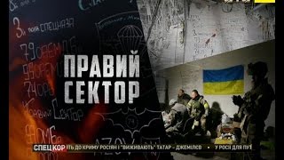 Цитадель - О Добровольцах Правого Сектора