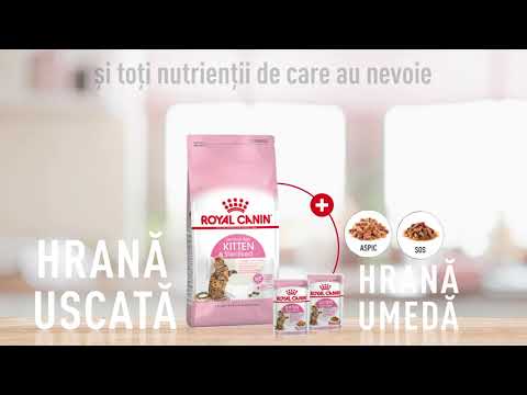 ROYAL CANIN KITTEN STERILISED RO