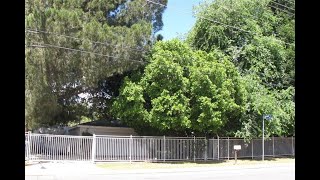 7501 SHIRLEY AVENUE video tour