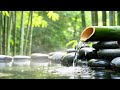 Relaxing Music for Stress, Worry, and Overthinking 🌿 Relaxing Music for Emotional Balance