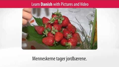 Learn Danish Vocabulary with Pictures and Video - Top 20 Danish Verbs 3
