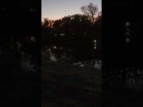 Crescent Moon at