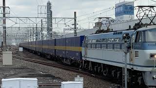 EF66 115牽引 西濃EXP 静岡駅通過