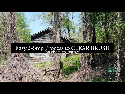 CLEAR BRUSH: An Easy 5 Step Organic Brush Removal Process (no chemical sprays)