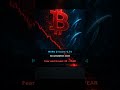 Bitcoin Is Down 41% — But Whales Are Buying. Here's Why.