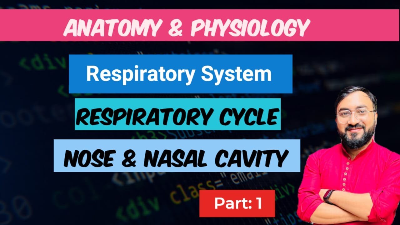 Respiratory System | Respiratory Cycle | Nose & Nasal Cavity | Anatomy & Physiology