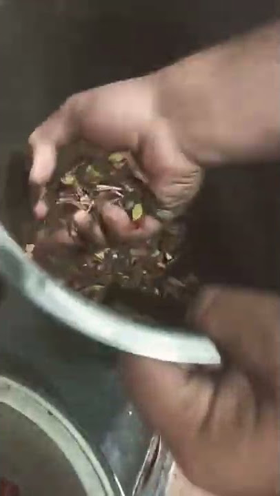 https://vt.tiktok.com/ZSdK4F88U/?k=1