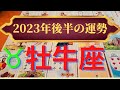 牡牛座の運勢　2023年後半　大幸運が次々に押し寄せる！（仕事運　金運　恋愛運　時期読み）タロット＆ルノルマンカードリーディング