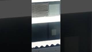IMG 0227
