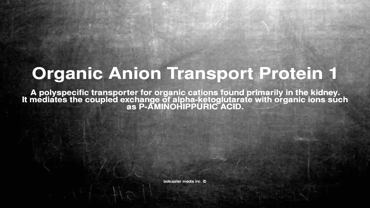 Medical vocabulary: What does Organic Anion Transport Protein 1 mean