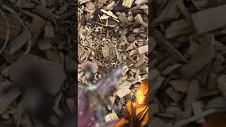 Nirvana in the Tot lot