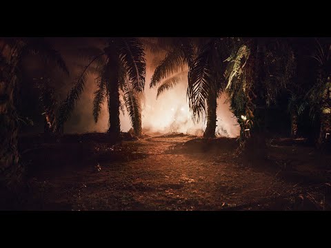 Inland & Julian Charrière | An Invitation To Disappear [A-TON | Berlinische Galerie | Berghain]