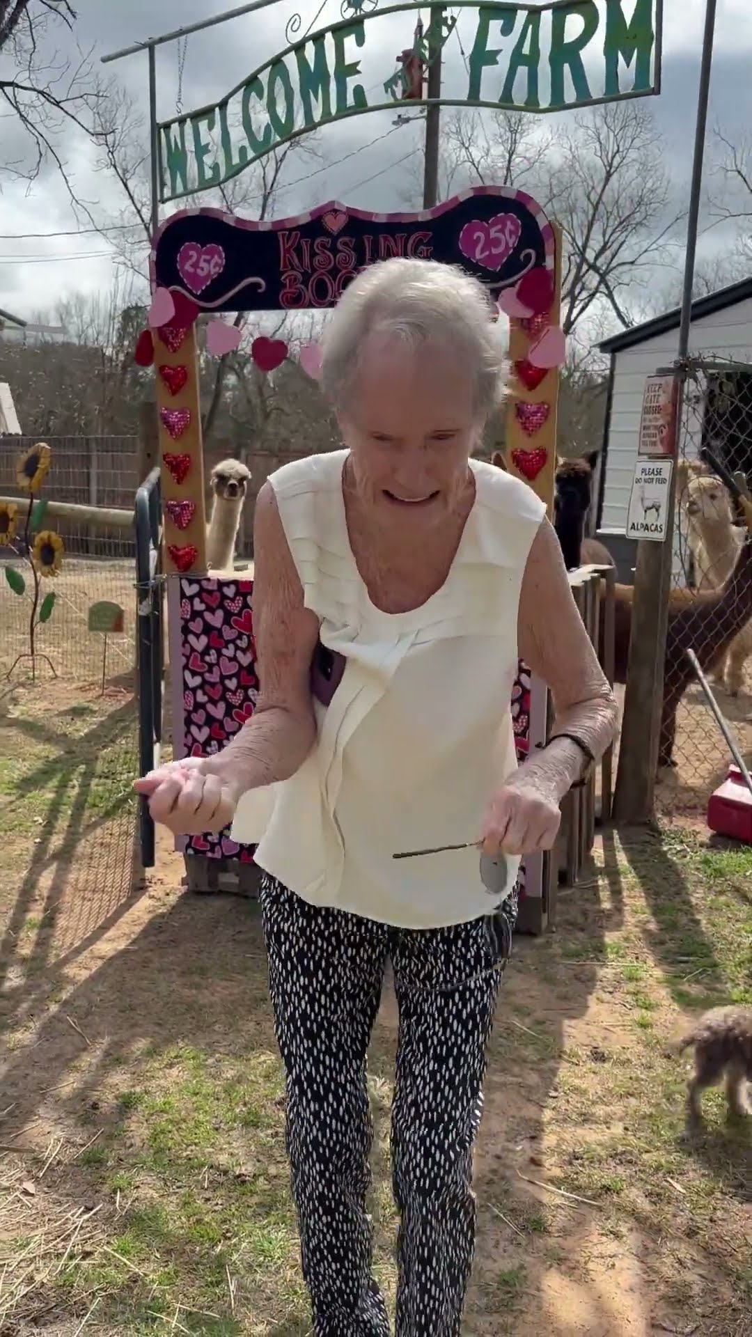 Granny Gets a Surprise at Alpaca Kissing Booth || ViralHog