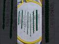 basic 3 stitchs embroidery//chain stitch//double chain//Cross stitch//🧵🪡#embroidery