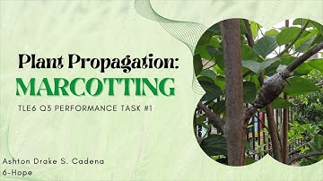 TLE 6 Q3: Performance Task 1: How to do Propagation