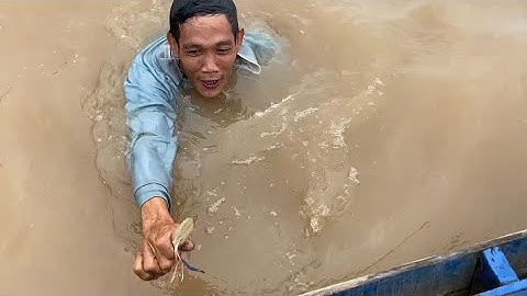 Mò Tôm Càng Bắt Cá Ngát Chưa Bao Giờ Là Chuyện Dễ Dàng Một Ngày Thất Thủ | Cù Lao Dung Vlogs #274