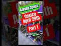 $59.99 trees at Costco?! 🌳 #costcodeals #gardening