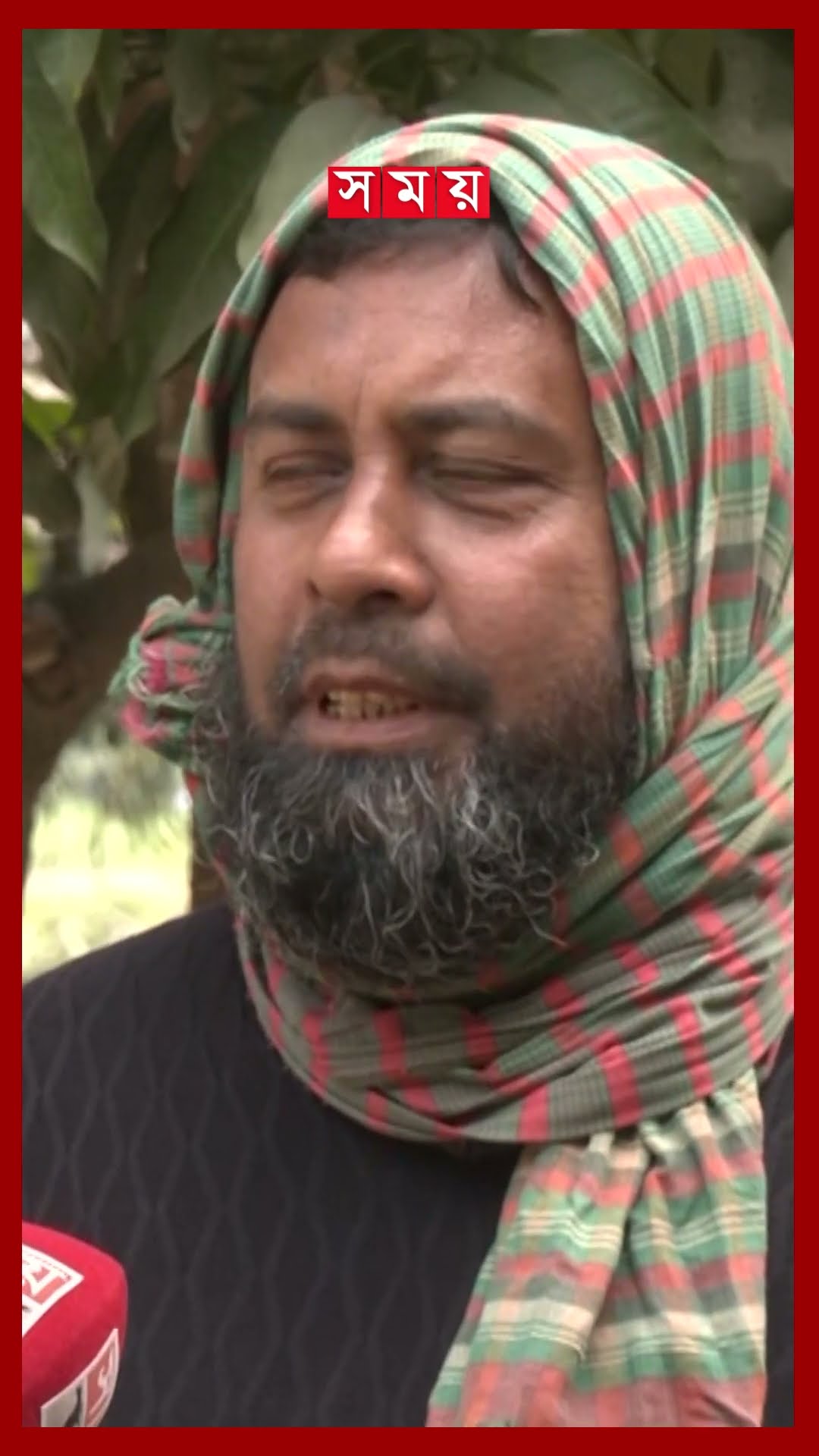 ভালো ফলন পেতে রাজশাহীর আম বাগানগুলোতে বিশেষ পরিচর্যা #rajshahi #mango #shorts #somoytv