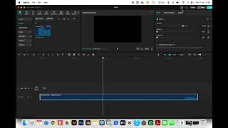changing the audio speed in Capcut