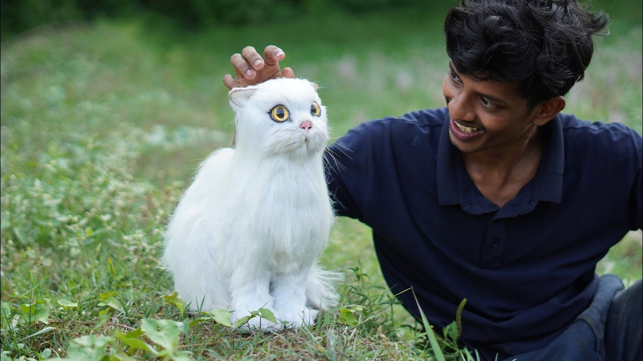 Built from Trash, Meet My Shoe Cat | ചെരുപ്പ് കൊണ്ട് ഉണ്ടാക്കി  | PERSIAN CAT