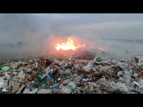 Video: Modalități De Utilizare A Deșeurilor Alimentare