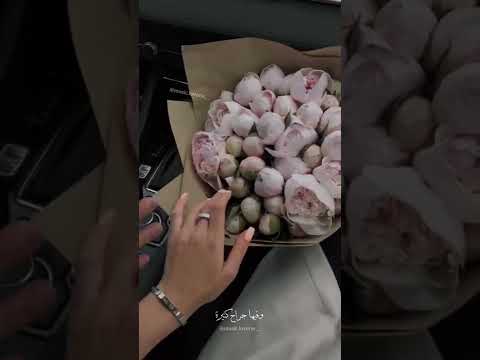 للنهاية هتلاقيني ماسكة إيدك