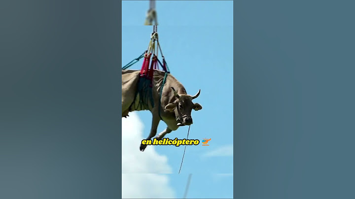 Por Qué Esta Vaca Está Volando 😱 #shorts #shortsvideo