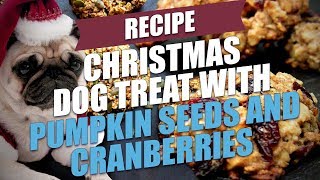 Christmas Dog Treat Recipe with Pumpkin Seeds and Cranberries